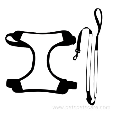 Pet harness and Leash Custom Patterns Pet Set